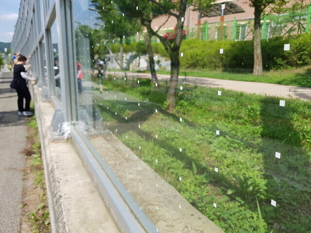 Volunteers put stickers onto noise barriers in Yongin, Gyeonggi Province, on June 12. (Cheon Ho-sung/The Hankyoreh)