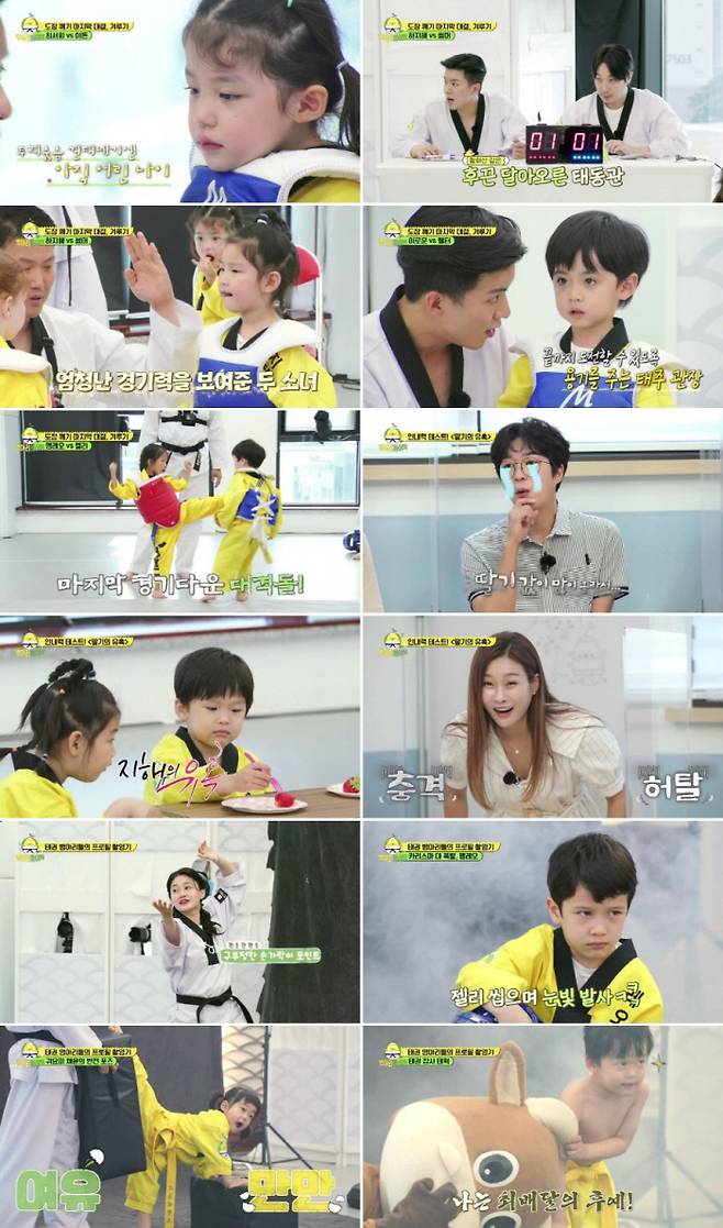 ‘병아리 하이킥’