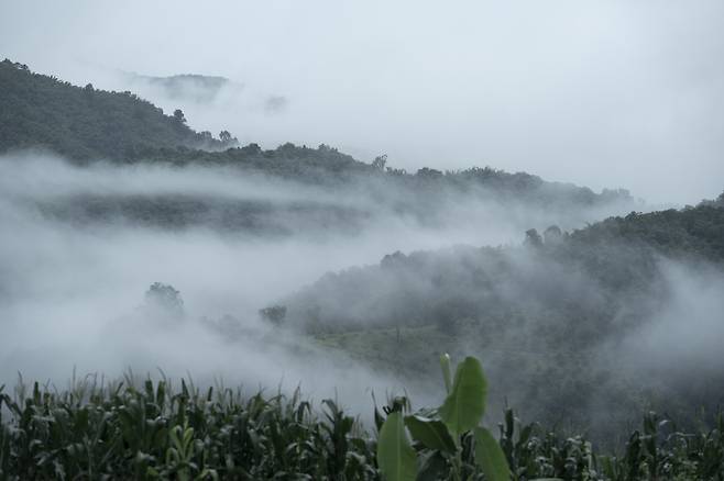 랑종 스틸 © 뉴스1