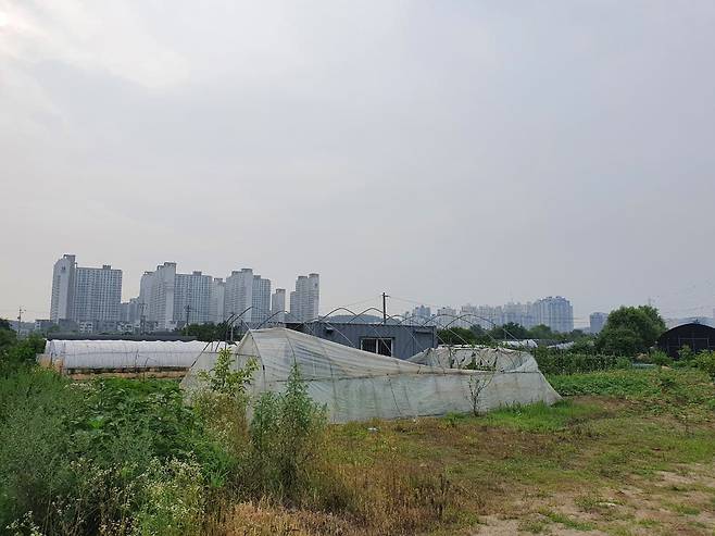 고양 창릉 공공주택지구에서 바라본 원흥지구 /유병훈 기자