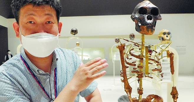 김동완 국립중앙박물관 학예연구사가 실제 크기로 재현된 오스트랄로피테쿠스 화석(루시)에 대해 설명하고 있다.