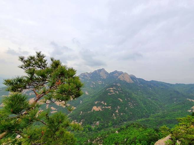 저 멀리 백운대, 노적봉, 만경대가 북한산의 주인공은 '바로 나'라고 뻐기기라도 하는 양 기세등등하다.