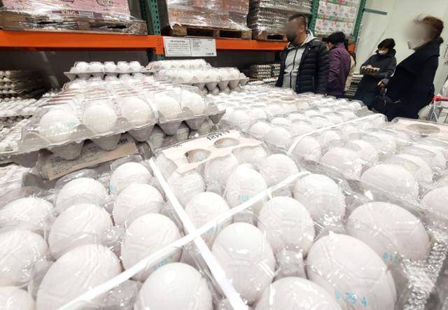 지난 2월 서울 강남구의 대형마트에 진열된 계란에 투명 플라스틱 포장이 돼 있다. 뉴스1