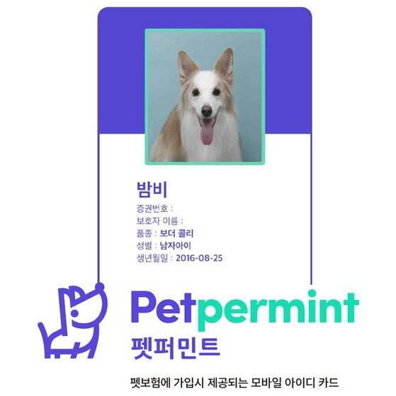 메리트화재 '펫퍼민트' 펫보험에서 제공하는 반려동물 모바일 아이디카드. [사진 메리츠화재]