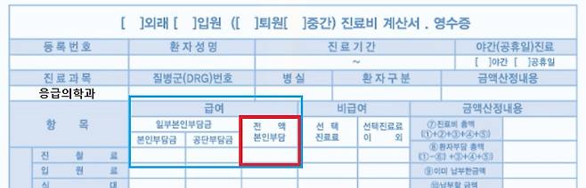 진료비 영수증 - 전액본인부담/이미지=건강보험심사평가원