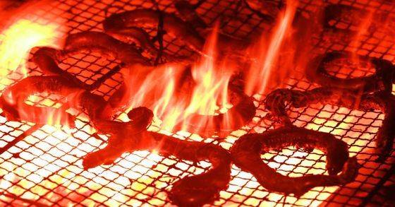 부산 기장에서 먹은 짚불구이 곰장어. 가죽은 벗겨내고 속살을 기름장에 찍어서 먹는다. 중앙포토