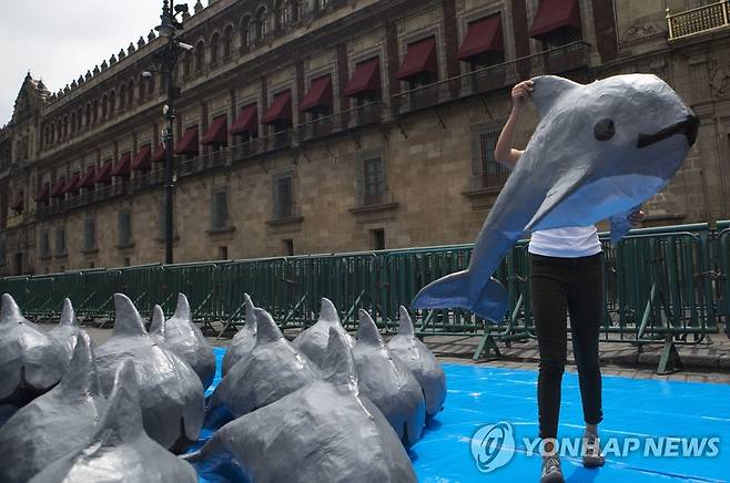 종이로 만든 바키타 돌고래 모형  [AP=연합뉴스 자료사진]