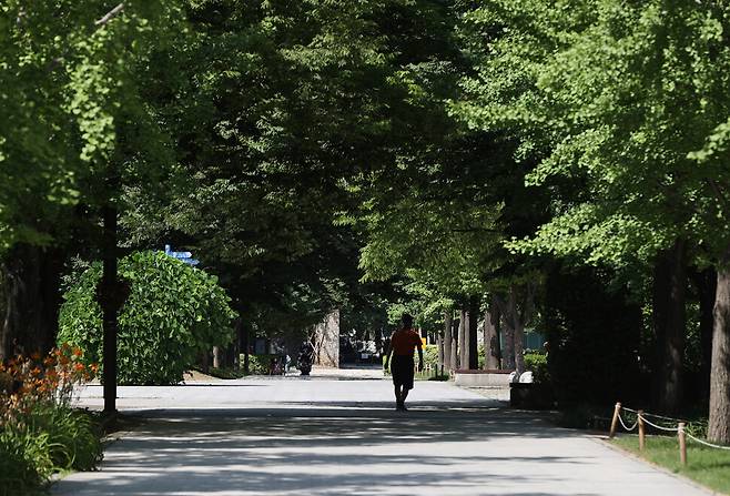 무더위가 계속된 18일 오후 서울 성동구 서울숲이 한산한 모습을 보이고 있다. 연합뉴스