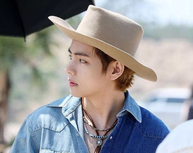 방탄소년단 뷔(BTS V)