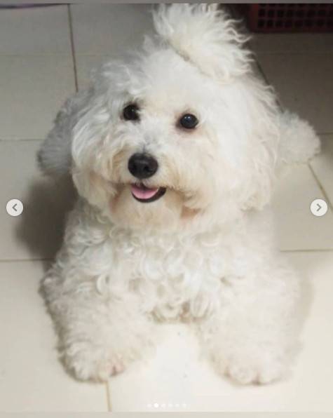 랑종 나릴야 군몽콘켓과 럭키/쇼박스 인스타그램 © 뉴스1