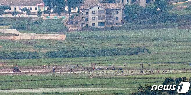 18일 파주 접경지역에서 바라본 북한 개풍군 마을 일대. 2021.6.18/뉴스1 © News1 이승배 기자