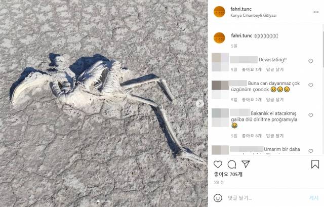 사진작가 파리 퉁크 인스타그램 캡처