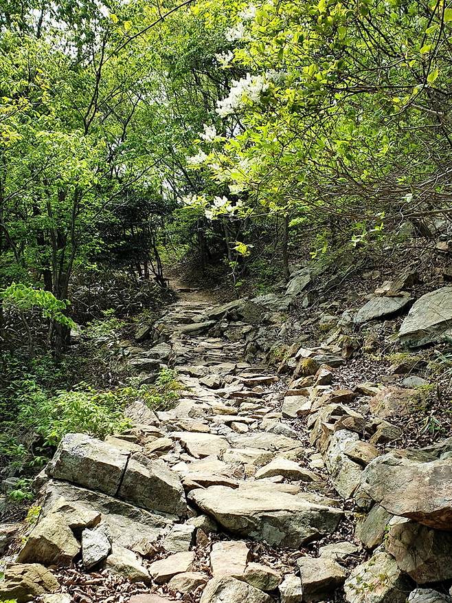 '천년의 세월을 품은 태고의 땅으로 낮달을 찾아 떠나는 구도의 길'이라는 이름의 달마고도는 달마산 일원에 조성한 17.8km의 둘레길이다.