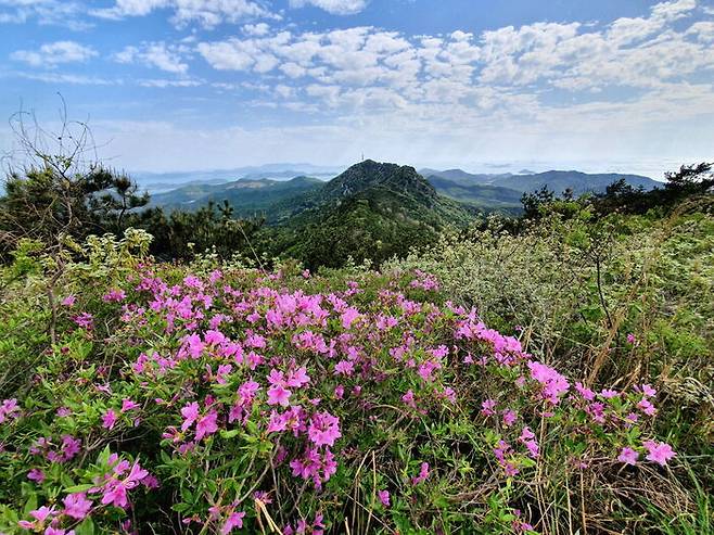 지나온 길이야 아득하지만 나름 뿌듯함도 생기기 마련이다.