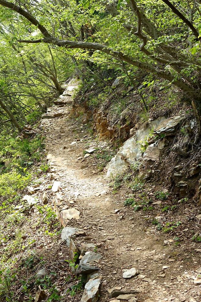 길을 걷다가 종점이 가까워지면 새로운 출발을 다짐하는 이들도 있을 것이고 마무리의 아쉬움에 눈물짓는 사람도 있을 것이다.