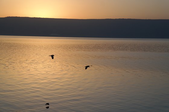 아침에 해 뜰 무렵의 갈릴리 호수. 새들이 호수의 수면 위를 비행하고 있다. 건너편 산 위로 해가 올라오고 있다.