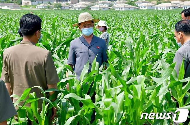 (평양 노동신문=뉴스1) = 김덕훈 북한 내각총리가 농업부문 사업을 현지에서 료해(점검)했다고 노동당 기관지 노동신문이 11일 보도했다. 김 총리는 황해남도 봉천군, 배천군, 연안군, 청단군 안의 농장을 비롯한 여러 단위를 돌아보면서 당 대회와 당 전원회의 사상과 정신을 받들어 불리한 기상기후 조건에서도 알곡생산을 늘리기 위해 분투하고 있는 농업근로자들을 고무해줬다고 신문이 전했다. [국내에서만 사용가능. 재배포 금지. DB 금지. For Use Only in the Republic of Korea. Redistribution Prohibited] rodongphoto@news1.kr