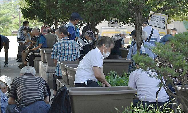 29일 통계청이 발표한 ‘2020년 등록센서스 방식 인구주택총조사’ 결과에 따르면 65세 이상 고령 인구는 821만명으로 1년 전 775만명보다 46만명 증가했다. 처음으로 800만명을 돌파했으며 고령인구가 전체 인구에서 차지하는 비중도 15.5%에서 16.4%로 올라갔다. 사진은 이날 서울 종로구 종묘공원의 나무그늘 아래에서 노인들이 모여앉아 바둑을 두는 모습. 하상윤 기자