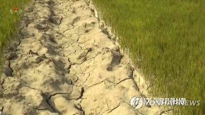 폭염에 타들어 가는 북한 농경지…수확량 타격받을까 전전긍긍 북한에서 이달 12일부터 폭염 현상이 이어지고 있다고 조선중앙TV가 지난 16일 보도했다. 중앙TV는 2017년 여름의 혹심한 가뭄을 언급하며 폭염으로 농작물 생산에 차질이 빚어질까 우려했다. [조선중앙TV 화면]
    [국내에서만 사용가능. 재배포 금지. For Use Only in the Republic of Korea. No Redistribution] nkphoto@yna.co.kr