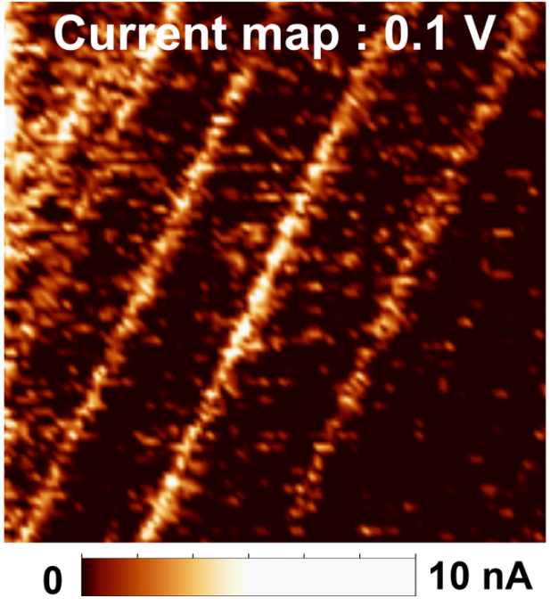 반도체 물질인 흑린 내에 구리 원자 삽입을 통해 형성한 전도성 채널의 전기적 특성을 전도성 원자력간현미경(C-AFM)으로 측정했다(하얀색 선으로 보이는 부분이 구리 원자 삽입을 통하여 형성한 전도성 채널).[사진=IBS]