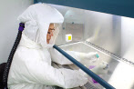 한국생명공학연구원 생물안전 3등급 연구시설(BL3) 코로나19 백신관련 연구 모습. [한국생명공학연구원 제공]