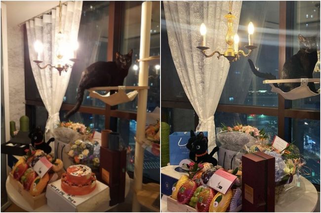 Broadcaster Park Soo-hong has revealed the heart of Thank You to the pouring wedding celebration Gift.Park Soo-hong posted a message on his SNS on the 29th, Thank you for your warm heart.The photos released together are full of Gifts celebrating Park Soo-hong becoming a married man, including Cake, which depicts Park Soo-hong and his 23-year-old wife.The appearance of Dahongi, a black cat that Park Soo-hong is raising, is also eye-catching: Park Soo-hong, who is now a family of his wife and Dahongi.Park Soo-hong announced his marriage to a 23-year-old non-entertainer through SNS on the 28th.He said: I became the head of a family today. I reported marriage to someone I loved.The first thing I have to do before the ceremony is to meet someone who wants to share my future, and because they have a deep faith in each other and love each other so much, there is no other reason. I have not been able to live too much in the meantime, because I thought that if I stayed alone, everything would be better.But I realized later that the world did not flow like that.So now as a father, as a husband, as a father of Dahong who gave me hope for life, I live for my family and try to build an ordinary family. Park Soo-hong is not set to have a separate wedding.I am sorry that I have not been able to have a nice wedding even if it is not as big and gorgeous as others, he said. I am a non-entertainer and ordinary ordinary person who became my wife.But I do not want to commit foolishness that hesitates and hurts me with my personal affairs.I am more faithful to my feelings and I am going to take responsibility for the person who has been with me silently even in difficult situations for a long time. A friend, a fellow congratulatory man, was poured into Park Soo-hongs surprise wedding announcement.Kim Soo-yong left a comment saying, Congratulations, married Park Soo-hong, and Song Eun said, I congratulate my father on my father.Son Heon-soo also said to his SNS, I have a sister-in-law who has dreamed for 20 years.I was very pleased with Park Soo-hongs marriage news that he was a very wise and wonderful woman in the world, he said. If I had not been able to see my sister-in-law, I could have made a dangerous choice when this was not possible.Park Soo-hong said on the same day, I did not think about it, but I really appreciate it. In December 2018, I started to meet with Ji Hyun Lee formally and it has already been four years.I am so grateful to my wife who has been struggling to understand my situation and to give me everything! I will live well. Thank you. The next day, on the 29th, the celebration continued. Shim Jin-hwa wrote on her SNS on the 29th, Happy wedding to my beloved senior!!!!!!!!And released a surprise celebration photo for Park Soo-hong at MBN Dongchimi recording site.The program crew he was appearing on also congratulated him with one heart.This event is still happening during the ongoing Park Soo-hong - brother-in-law conflict.Park Soo-hong filed a complaint with the Western District Prosecutors Office in March for alleged seizure of laws on specific economic crime heavy penalties against his brother-in-law and his brother-in-law after his brother-in-law said he had seizured his pay and down payment for decades.park soo-hong Instagram