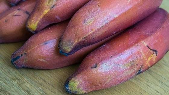 산딸기 향의 레드 바나나(Red Banana). [사진 pixabay]