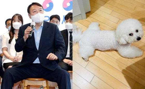 윤석열 전 검찰총장(왼쪽)이 자신의 반려견 '마리'와 양다리를 넓게 벌리는 '쩍벌' 자세가 닮았다고 셀프디스했다. 연합뉴스, [토리스타그램 캡처]