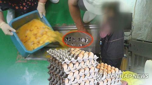 제조일자 조작한 계란 판매 무더기 적발(CG) [연합뉴스TV 제공]