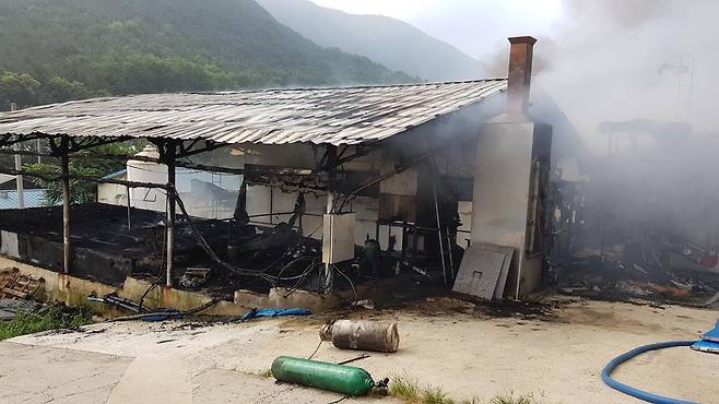 예천 돈사 화재 [경북소방본부 제공.재판매 및 DB금지]