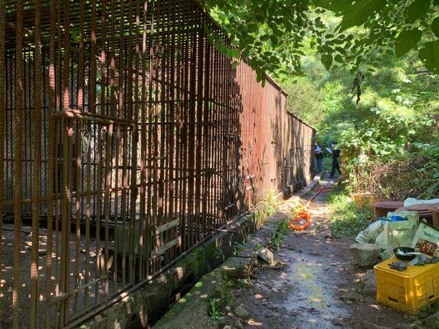 강원 화천군 완만한 경사가 있는 곳에 위치한 사육곰 농장은 위 아래로 7마리씩 총 14마리가 콘크리트 바닥으로 된 철창에서 사육되고 있다. 화천=고은경 기자