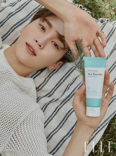 사진제공=브링그린