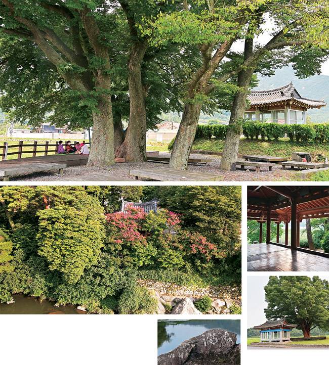 장흥에서 정자는 아직도 쓸모를 잃지 않았다. 최근까지도 정자가 새로 지어진 게 그 증거다. 위 사진부터 시계방향으로 관산읍 송촌리의 느티나무 노거수 곁에다 지은 정자 청풍정(淸風亭). 지은 지 30년쯤 됐다. 크고 기품 있는 탐진강 변의 정자 경호정의 널찍한 마루. 부산면 호계리 들판의 느티나무 아래 정자 용계유선정(龍溪遊仙亭). 청풍김씨 가문 소유의 정자 부춘정 아래 강변에 쓰여 있는 글씨. 큰 글씨가 龍湖(용호)고 작은 글씨가 桐江(동강)이다. 탐진강 물가의 배롱나무꽃 뒤에 숨어 있는 정자 부춘정.