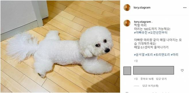 윤석열 전 검찰총장은 지난 3일 인스타그램에 반려견 마리와 '쩍벌 자세' 교정에 돌입했다는 글을 올렸다. 2021.8.4./사진=윤석열 전 검찰총장 인스타그램 갈무리.