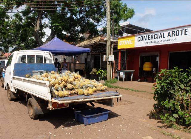 문을 열었다가 닫았다가, 라파누이 상점의 영업시간은 ‘주인 맘대로’. 제주에 첫발을 들였을 때와 같은 느낌이었다. ⓒ강미승