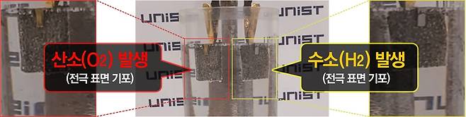 촉매를 이용한 수전해 실험 모습 [울산과학기술원 제공. 재판매 및 DB 금지]