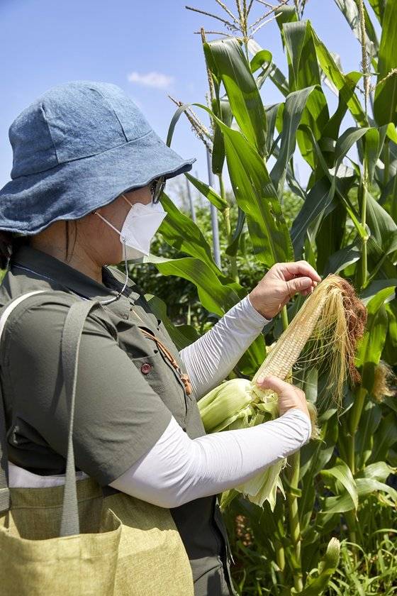 소중 학생기자단의 논 생물 생태계 관찰을 지도한 김포시청소년재단통진청소년문화의집 양동희 선생님.