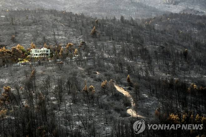 화재로 폐허가 된 아테네 인근 산림. 2021.8.9. [로이터=연합뉴스]