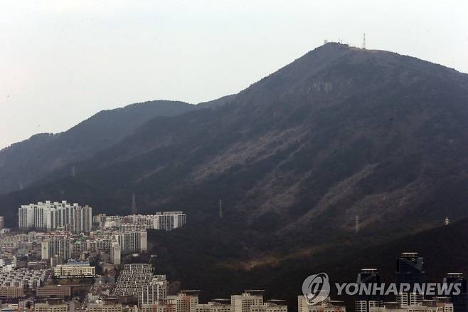 해운대 장산 촬영 조정호. 부산시 해운대구 장산