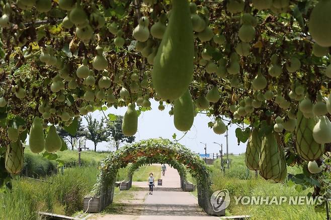 폭염 한풀 꺾인 말복 (서울=연합뉴스) 백승렬 기자 = 말복이자 화요일인 10일은 전국에 구름이 많은 가운데 아침부터 밤사이 전국 곳곳에서 소나기가 내리고 폭염이 한풀 꺾일 것으로 예보됐다. 2021.8.10 srbaek@yna.co.kr