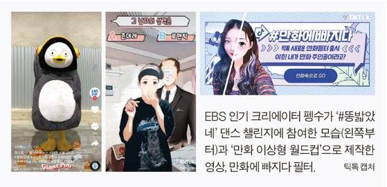 틱톡 챌린지·필터 활용 사례.