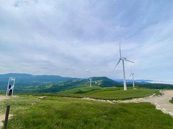 2021년 6월 10일 대관령면 삼양목장. 이곳은 평일에도 셔틀버스를 증편해야 할 정도로 인기다. 김홍준 기자