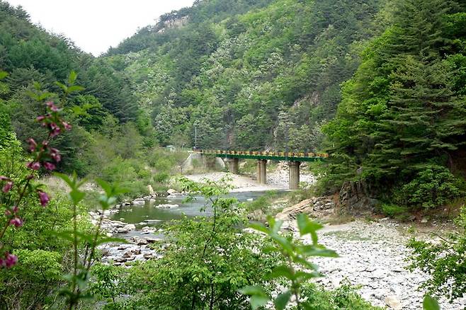 산과 강을 건너 기차는 승부역을 가고 철암역을 간다.