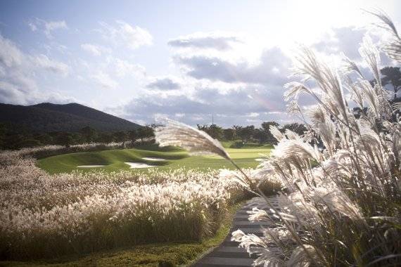 억새가 지천에 널려 있어 가을 정취를 물씬 만끽할 수 있는 엘리시안 제주CC. /사진=엘리시안CC