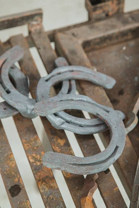 말이 신는 편자는 용도별로 여러 종류가 있다.