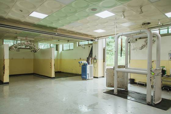 말도 사람처럼 병의 경과에 따라 수술실이나 중환자실, 일반 병실로 구분된 공간에서 진료를 받고 휴식을 취한다.