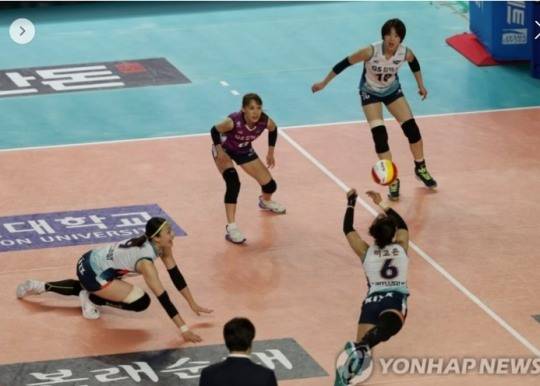 팬케이크는 국제배구 표준용어로 코트에 닿는 볼을 몸을 날려 손으로 처리하는 고난이도의 기술을 말한다. 사진은 국내 여자부경기에서 GS칼텍스 선수가 팬케이크로 볼을 걷어내는 모습. [연합뉴스 자료사진]