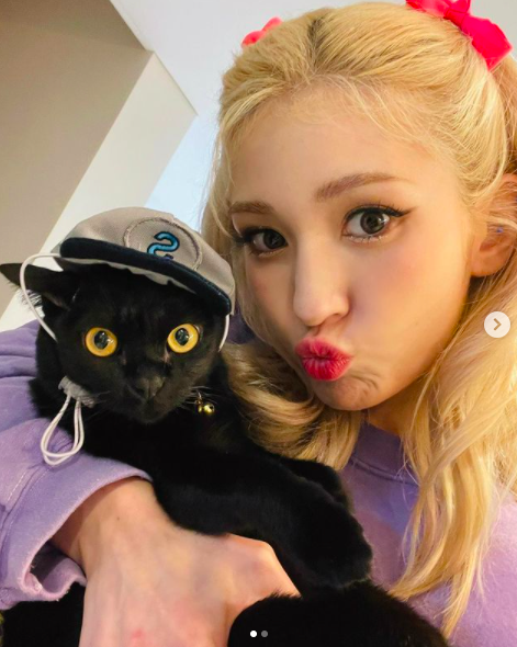 Singer Jeon So-mi has vented a cute charm with Cat.Jeon So-mi posted two photos on his instagram on the afternoon of the 24th, along with an article entitled Photogenic Baby Driver Zoro and Selfie with my Photogenic BABY ZORRO.In the open photo, Jeon So-mi is holding Cat in his arms and making Camera a cute look.With Jeon So-mi, who has makeup brightly and blonde hair tied to both sides, Cat is also staring straight at Camera in a hat.Jeon So-mi pulls her eye with a fresh look, with her lips out or winking.Meanwhile, Jeon So-mi is active in releasing a new song DUMB DUMB on the 2nd.jeon so-mi SNS