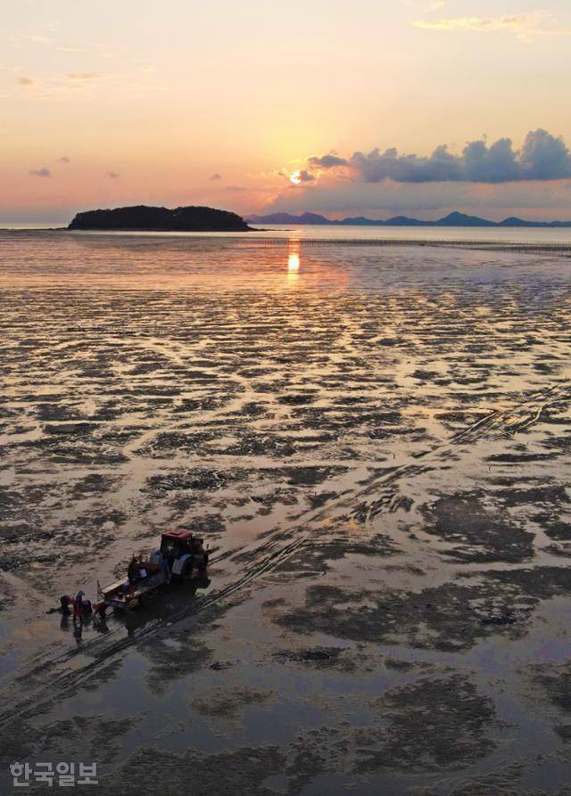 해가 떨어지는 만돌마을 앞 갯벌에서 바지락을 캐던 어민들이 작업을 마무리하고 있다.