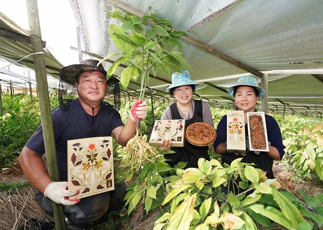 인삼 재배 농가의 농부들이 풍기인삼을 활용한 파리바게뜨 제품을 소개하는 모습/사진= SPC그룹